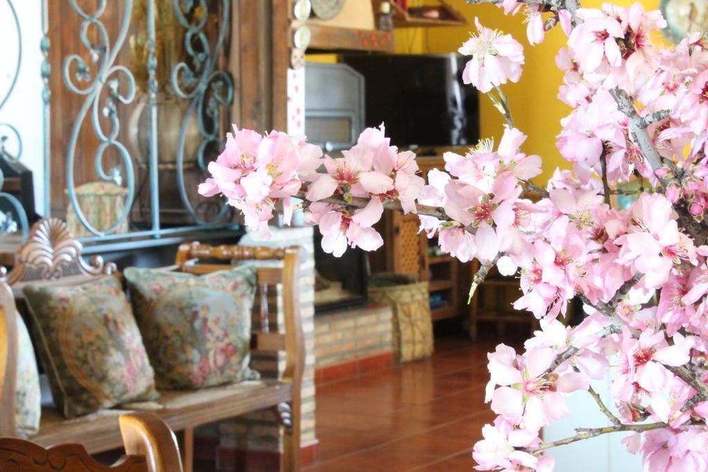 Los Laureles Casa Rural Urda Εξωτερικό φωτογραφία